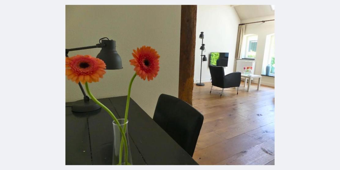 Duerswald Apartamento Wijnjewoude Exterior foto